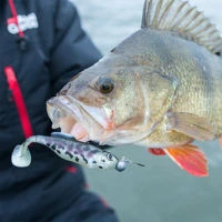 Berkley Flex Round Heads